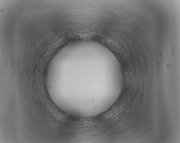 X0000072971249200608111707