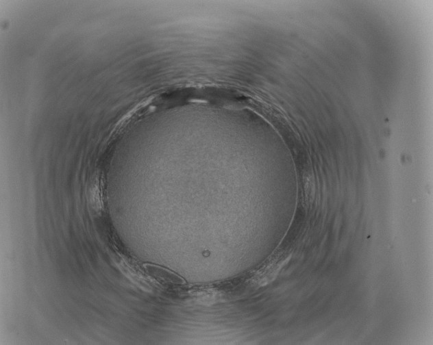 X0000072971250200608111707