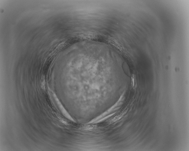 X0000072971251200608111707