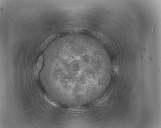 X0000072971252200608111707