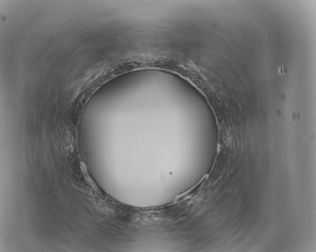 X0000072971253200608111707