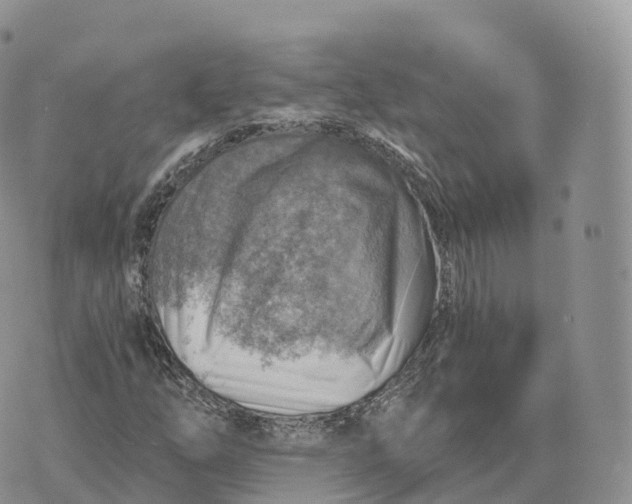 X0000072971254200608111707