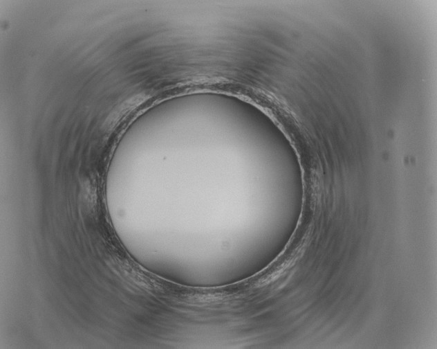 X0000072971257200608111707