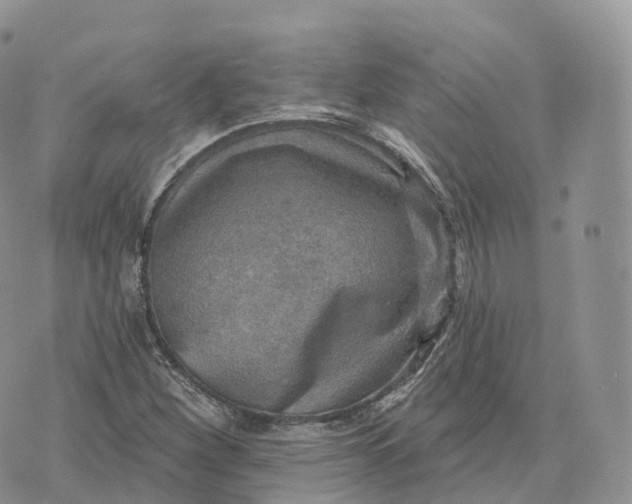 X0000072971260200608111707