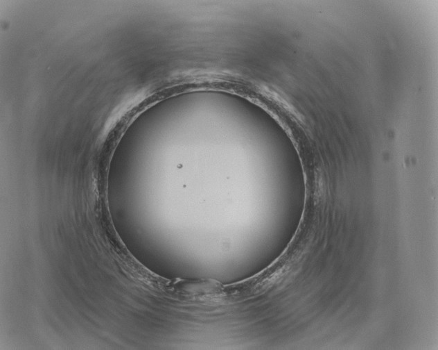 X0000072971261200608111707