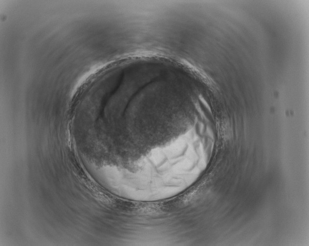 X0000072971262200608111707