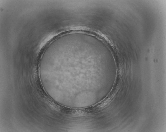 X0000072971263200608111707