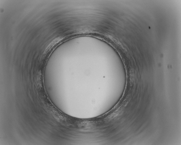 X0000072971265200608111707