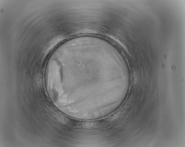 X0000072971266200608111707