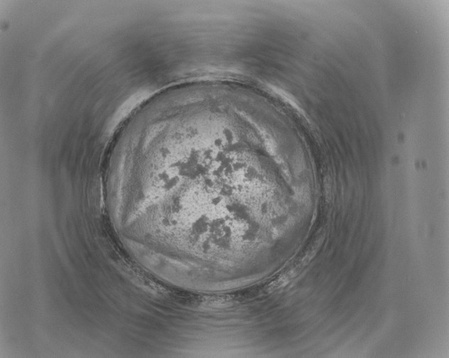 X0000072971267200608111707