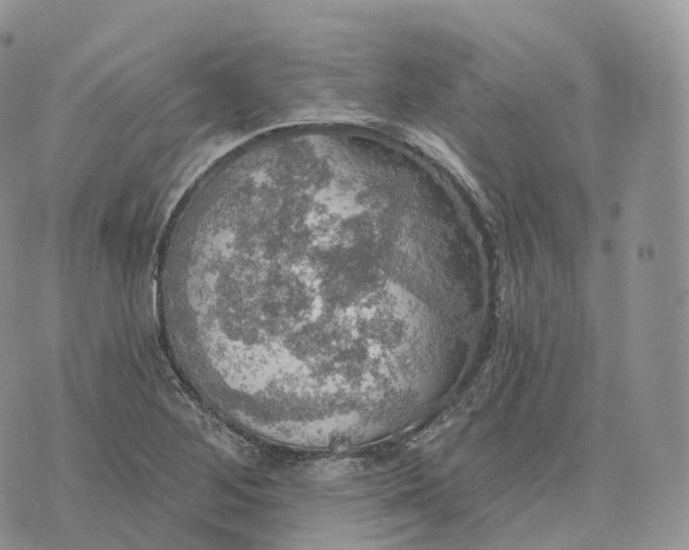 X0000072971268200608111707