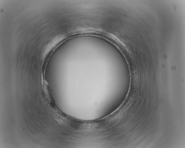 X0000072971269200608111707