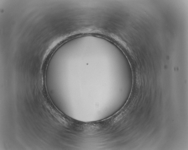 X0000072971270200608111707