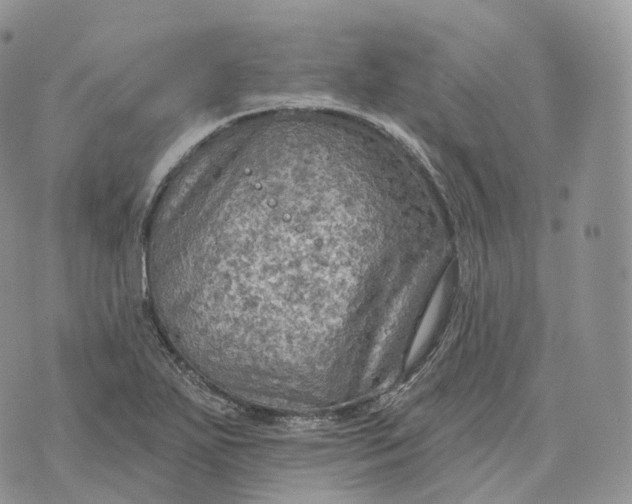 X0000072971271200608111707