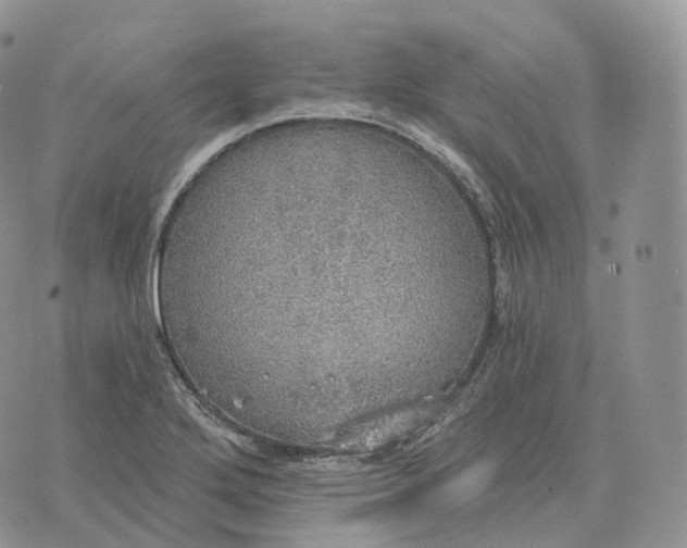 X0000072971272200608111707