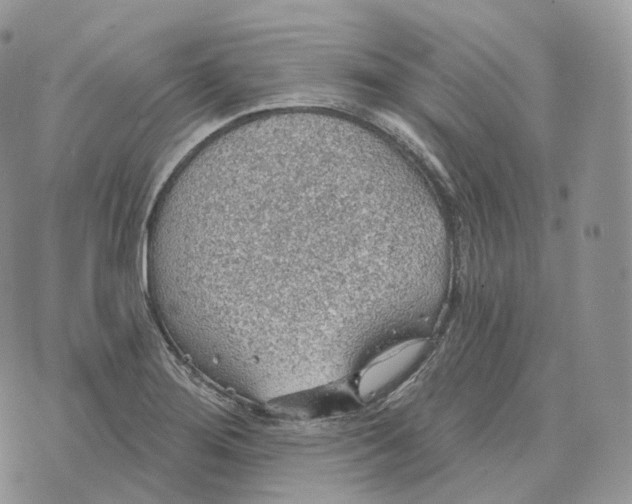 X0000072971276200608111707