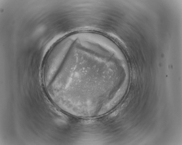 X0000072971278200608111707