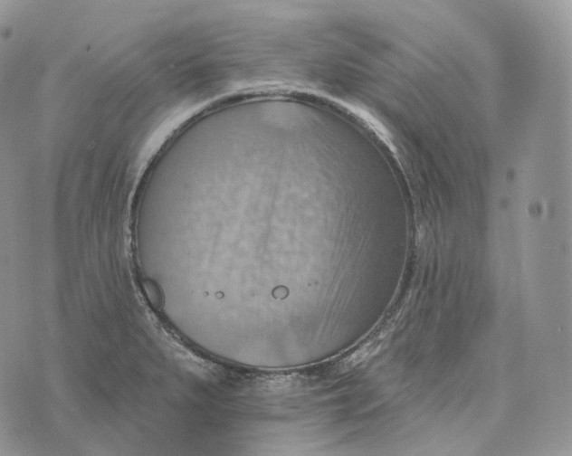 X0000072971279200608111707