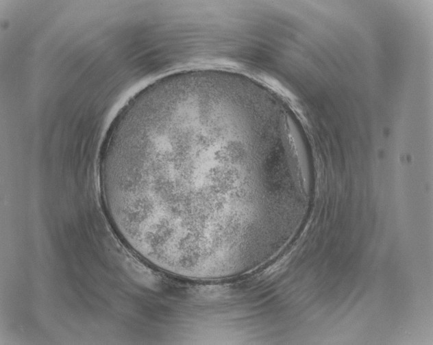 X0000072971280200608111707