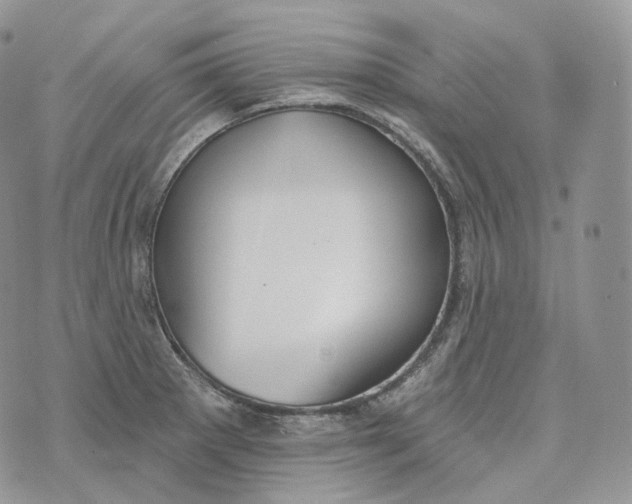 X0000072971281200608111707