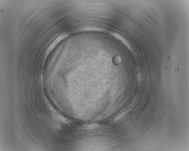 X0000072971282200608111707