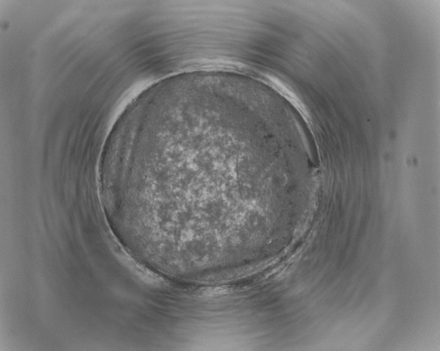 X0000072971283200608111707