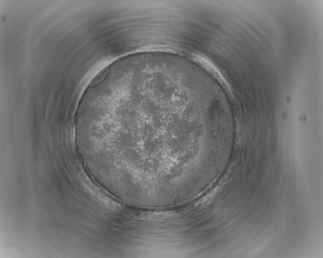 X0000072971284200608111707