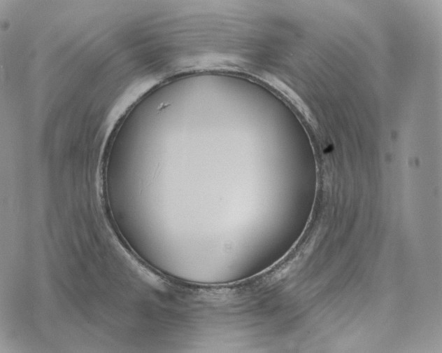 X0000072971285200608111707