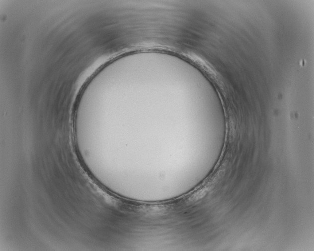 X0000072971286200608111707