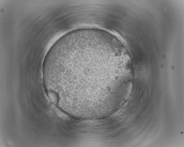 X0000072971287200608111707