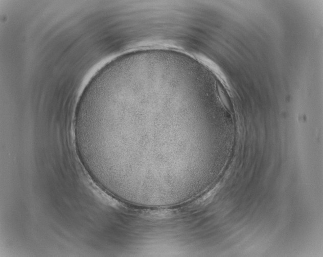 X0000072971288200608111707