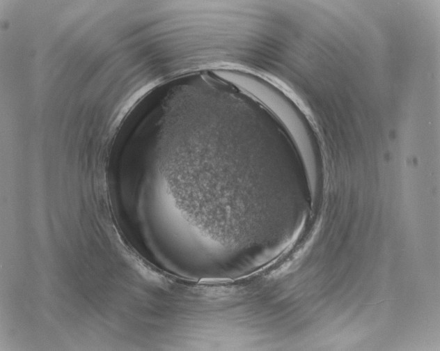 X0000072971289200608111707