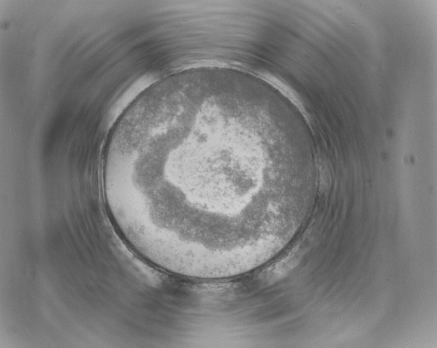 X0000072971290200608111707