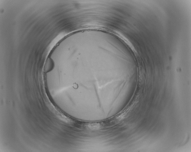 X0000072971291200608111707