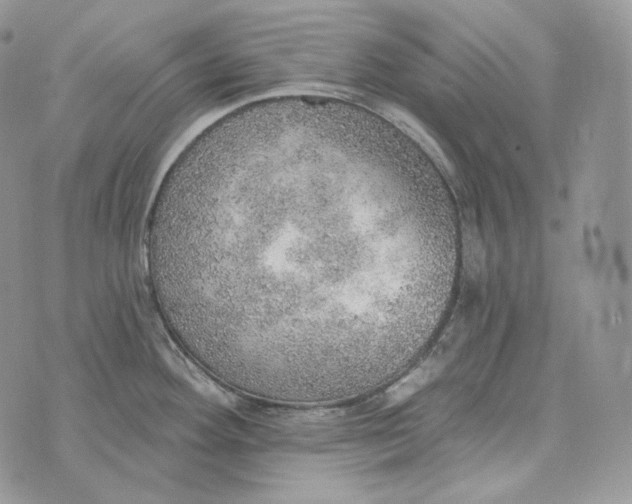 X0000072971292200608111707