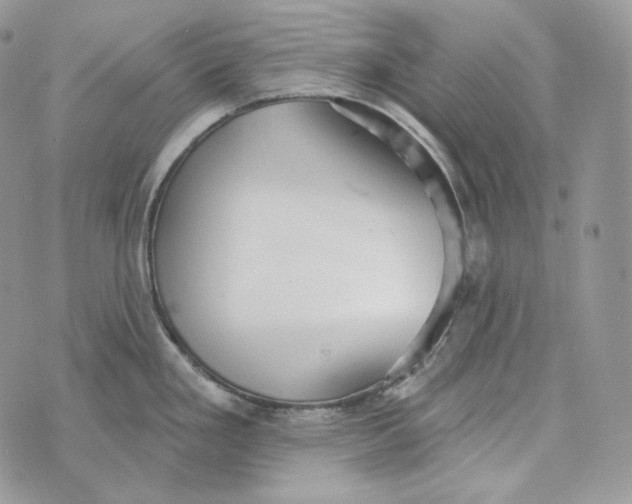 X0000072971293200608111707