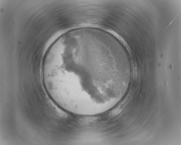 X0000072971294200608111706