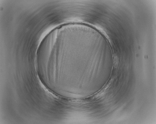 X0000072971295200608111706