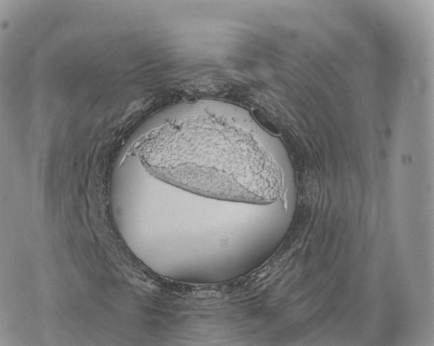 X0000072971297200608111706