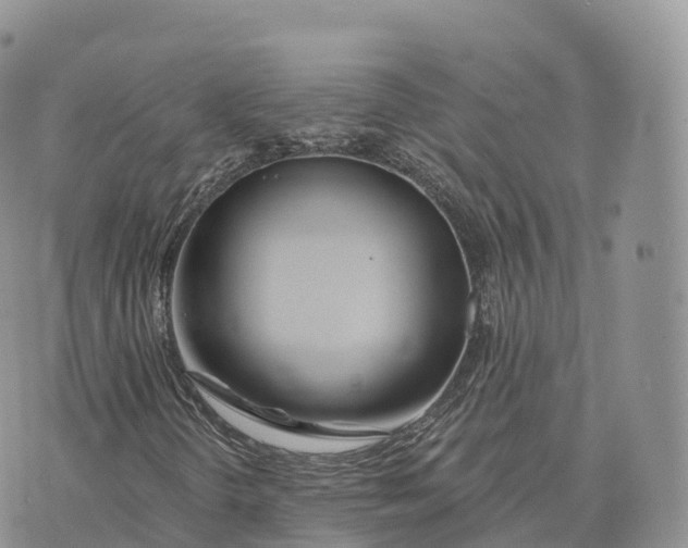 X0000072971298200608111706