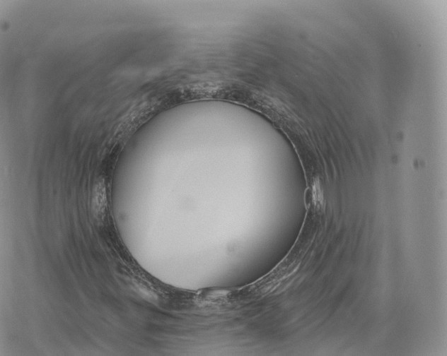 X0000072971299200608111706