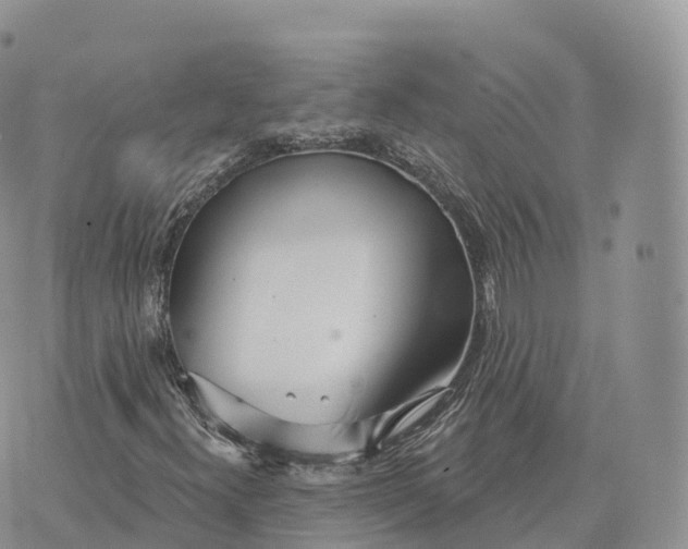 X0000072971300200608111706