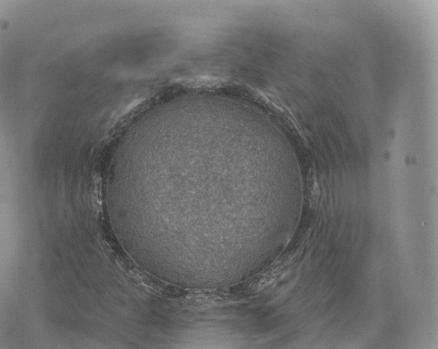 X0000072971301200608111706