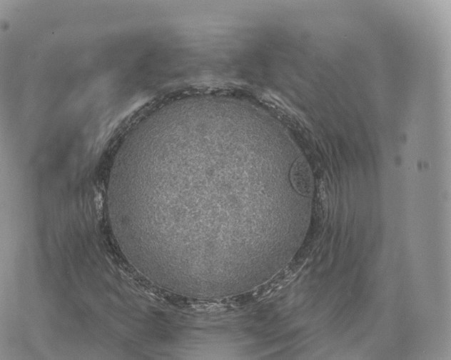 X0000072971302200608111706