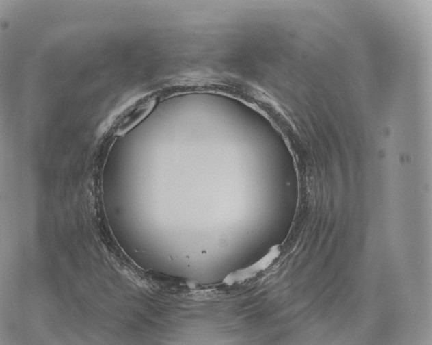 X0000072971304200608111706