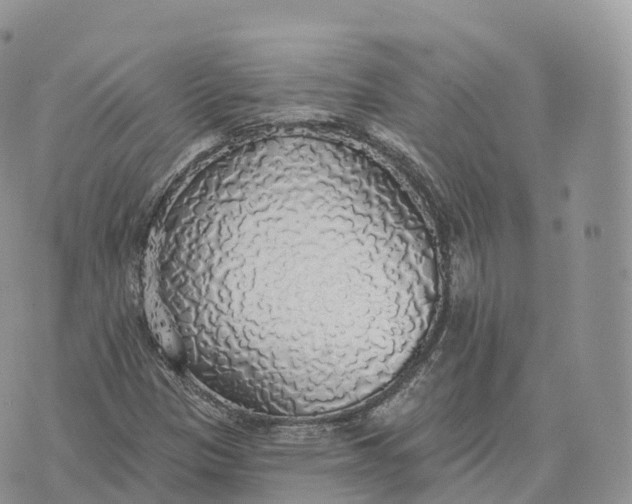 X0000072971305200608111706