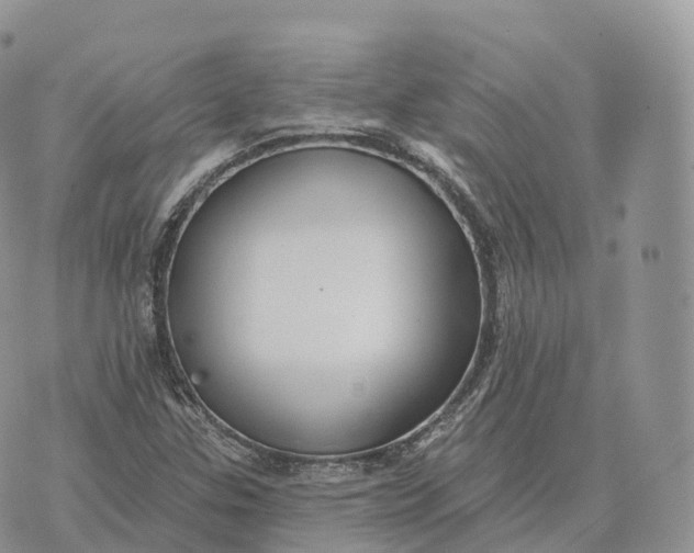 X0000072971307200608111706