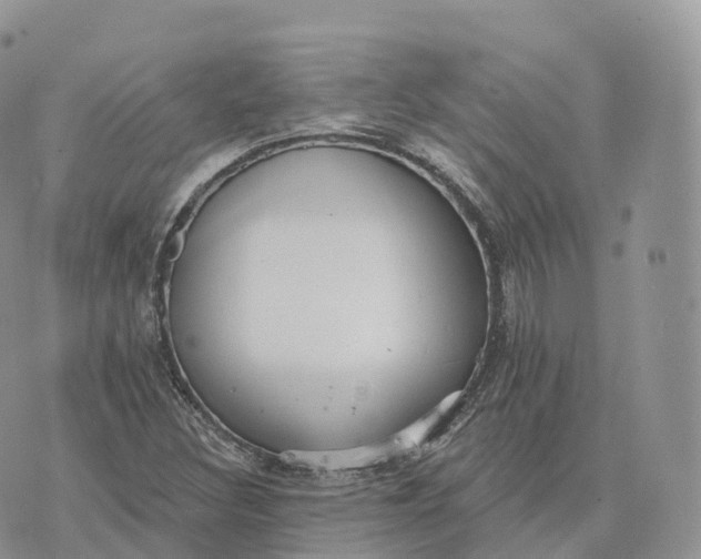 X0000072971308200608111706