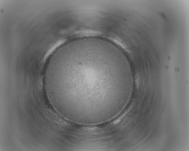 X0000072971309200608111706