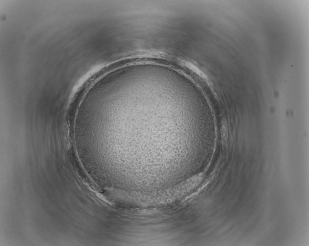 X0000072971310200608111706